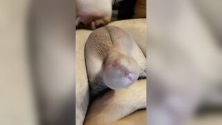 Col cazzo duro e lei che gli lecca il buco del culo