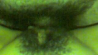 NEL CULO NO TI PREGO