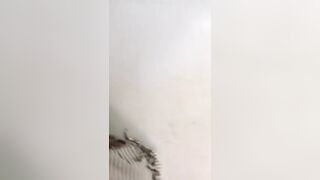 TRIO NAPOLETANO con studentessa zoccola