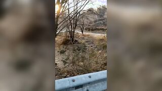 Quattro passi tenendo in mano il suo cazzo e pompa veloce outdoor