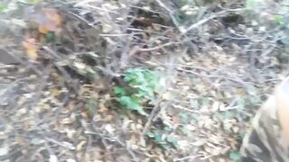 Quando cammini nel bosco e ti viene sete