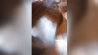 Serena sbocchina il cazzo Pov